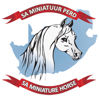 SA Miniature Horse Auction